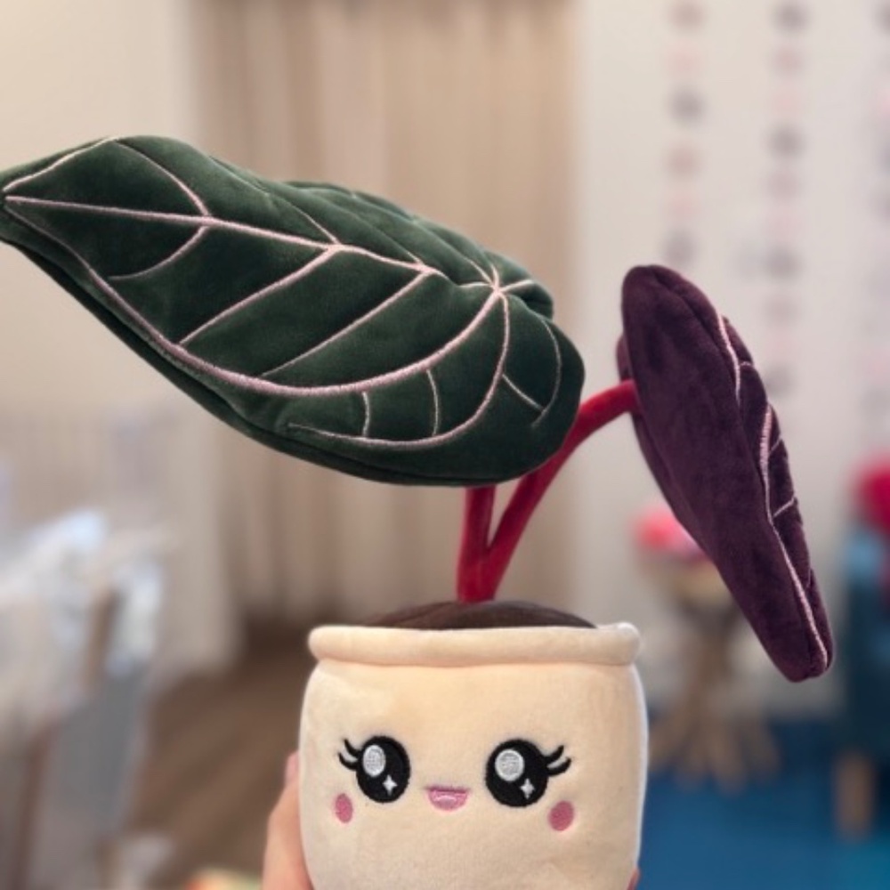 Plant Plushie - Anthurium Red Crystallinum Plushie - Picture 4 of 4